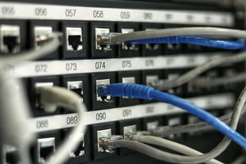 Blue and grey network cables plugged into a patch panel