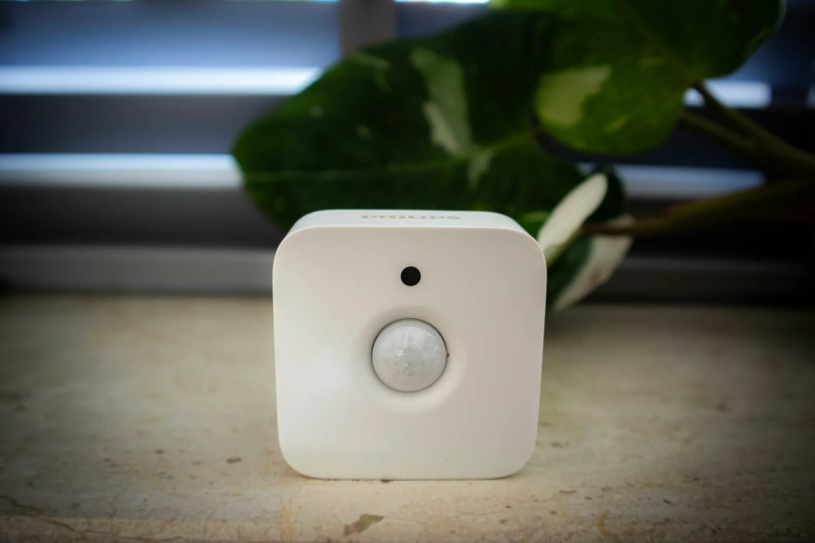 A small white motion sensor in front of green foliage